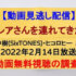 『激レアさんを連れてきた。』(2022年2月14日放送)【田中樹(SixTONES)出演】